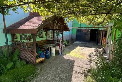 Casa individuala 3 camere- Turnisor, Sibiu - 1