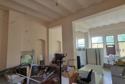 Casa lui Nicolae Dinischiotu - 60 camere - Imobil Istoric - 29