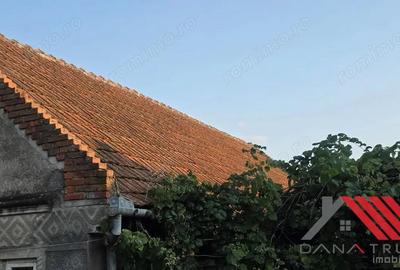 Topolova?u Mare Casa si Teren 1683 mp - 48.500 euro - 10