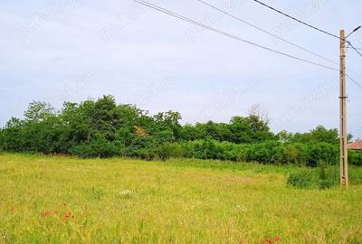 Teren de 1000 mp, în Valea Stânii - 3