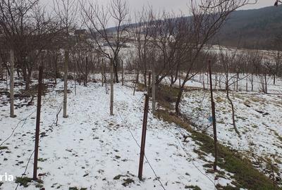 Teren de 704 mp, în Rediu - 12