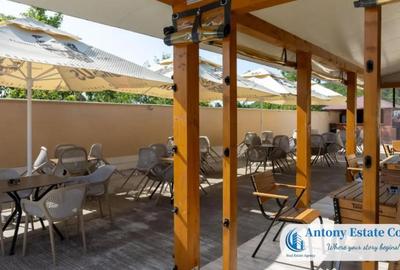 Spațiu comercial, de 195 mp, în Budureasa - 4