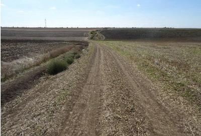 Teren de 9500 mp, în Cobadin - 4