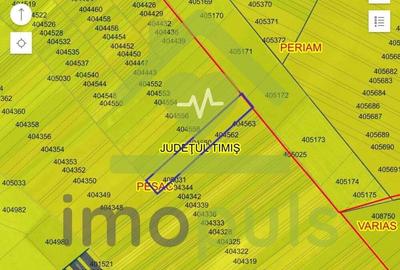 ? Teren extravilan la Pesac de 3,4 ha (1,4 euro/mp)? - 1