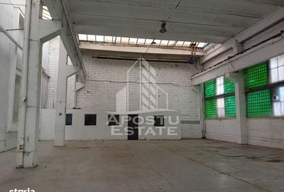 Spațiu comercial, de 620 mp, în Sânnicolau Mic - 4