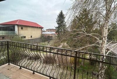 Vila Clinceni - 10