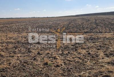 Teren agricol extravilan de 7802 mp, în Domnești - 1