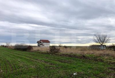 Teren Construcții intravilan de 3800 mp, în Nord-Est - 3