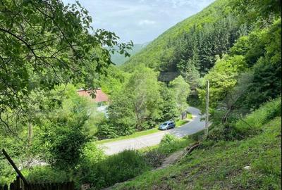 Casa de vacanta,3300 mp teren,Intregalde - 2