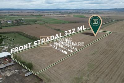 Teren intravilan de 25400 mp, în Zăbrani - 2