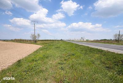 Spațiu comercial, în Nojorid