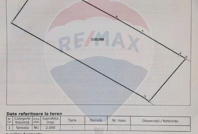 Teren extravilan, 2000 mp, Sat Pestera (com Moieciu) - 8