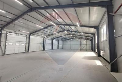 Hala noua 555mp, curte betonata 1000mp, zona de est, de inchiriat - 8