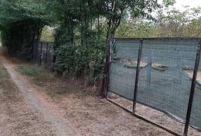 Spațiu comercial, în Central - 4