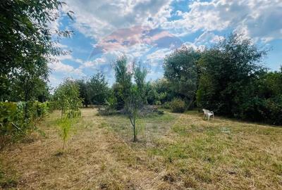 Casa Spatioasa cu teren Generos de 3416 mp in Tautii Magheraus - 6