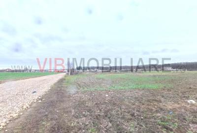 Snagov - Ghermanesti - 9247 mp teren intravilan - deschidere 33 ml - langa padur - 1