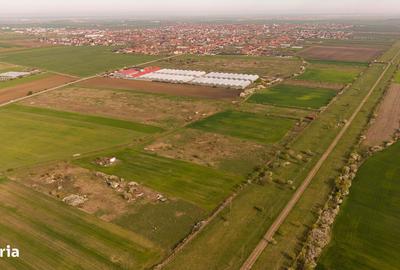 Teren de 6150 mp, în Livada - 2