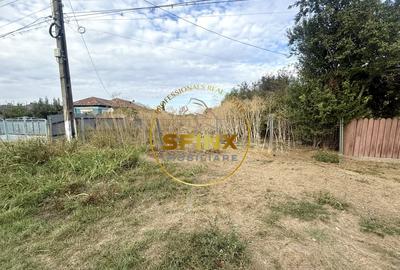 Teren 3905 mp Manasia, pozitie la drum judetean - 6