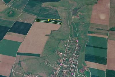 Teren de 19500 mp, în Pișchia - 2