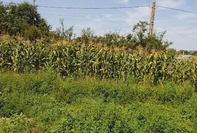 Casă cu 4 camere în Central - 4