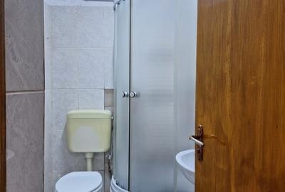Vila fara risc seismic,renovata,izolata ext,P+1+pod inalt,9 camere,4 bai,pivnita - 38