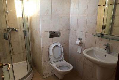 Apartament cu 3 camere decomandat în Moșilor - 5