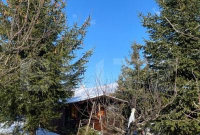 Teren intravila de vanzare, 1.100 mp, in Bistri?a, pe str - 16