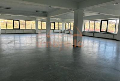 Birou, de 9,999 mp, în Iris - 10