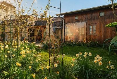 Casă individuală cu 4 camere cu Canalizare în Chitila - 3