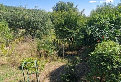 Casă individuală cu 5 camere cu Teren 10426 Mp în Est - 24