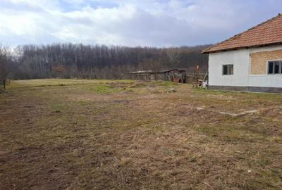 Casă cu 4 camere în Băbeni - 6
