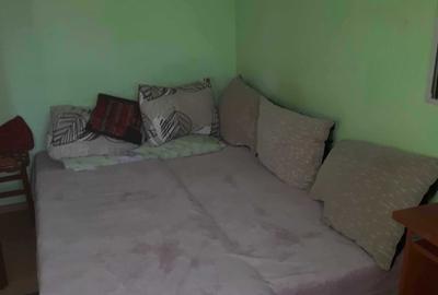 Apartament cu 2 camere decomandat în Viașu - 8