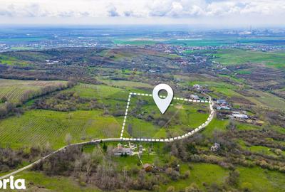 Teren de 33500 mp, în Bucov - 9