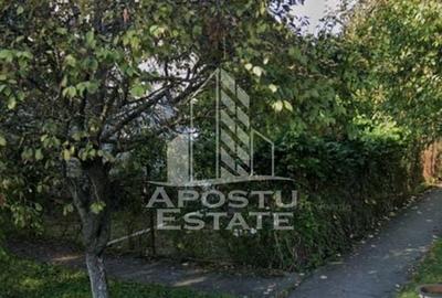 Casă veche în Timișoara  cu teren generos 806 mp - 3