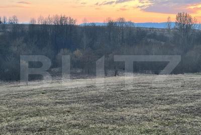 Teren intravilan -Horodnic de Jos- Oportunitate unica de inv - 2