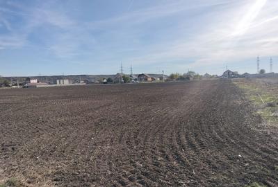 Spațiu comercial, în Proaspeți - 6