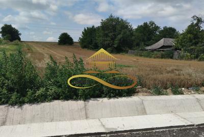 Teren intravilan 5400 mp de vanzare Filipesti / Bacau - 2