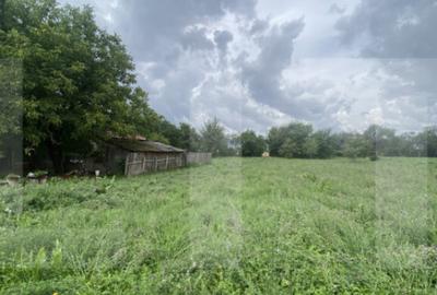 Casa tradi?ionala cu teren generos Belin - 11