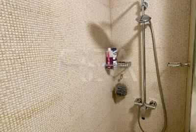 Apartament 2 camere Nicolae Grigorescu - Strada Patriotilor, mobilat - 10