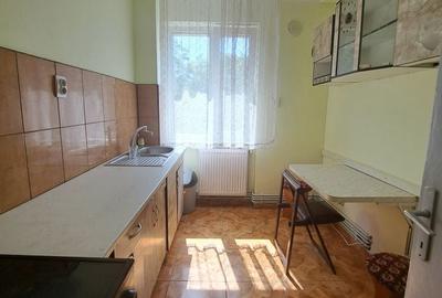 Apartament cu 2 camere în Săsar - 10