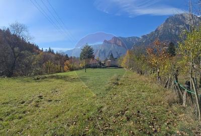 Teren intravilan cu vedere spectaculoasa spre Crucea Caraiman - 1