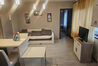 Apartament cu 2 camere semidecomandat în Mehala - 6