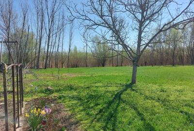 Teren Construcții intravilan de 3200 mp, în Măstăcani - 2