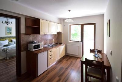 Apartament cu 1camera de in cartierul Andrei Muresanu/Buna Ziua - 5