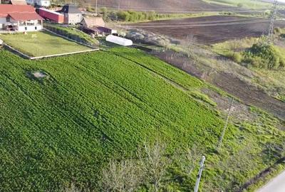 Spațiu comercial, în Central - 3