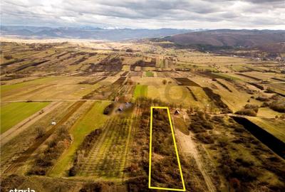 Spațiu comercial, în Vadu Crișului - 9