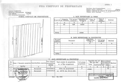 Teren extravilan de 10000 mp, în Lucianca - 3