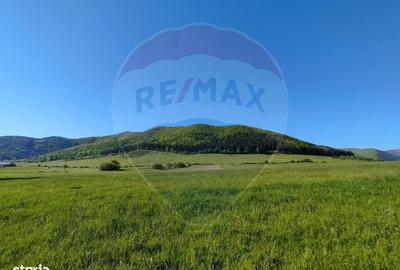 Spațiu comercial, în Gura Râului - 5