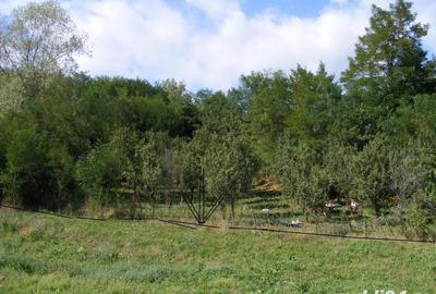 Teren de 2070 mp, în Vârfuri - 4