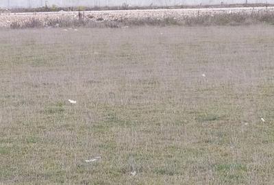 Spațiu comercial, în Bartolomeu - 1